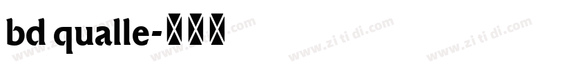 bd qualle字体转换